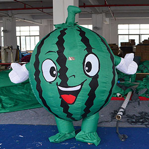 Inflatable Watermelon Costume